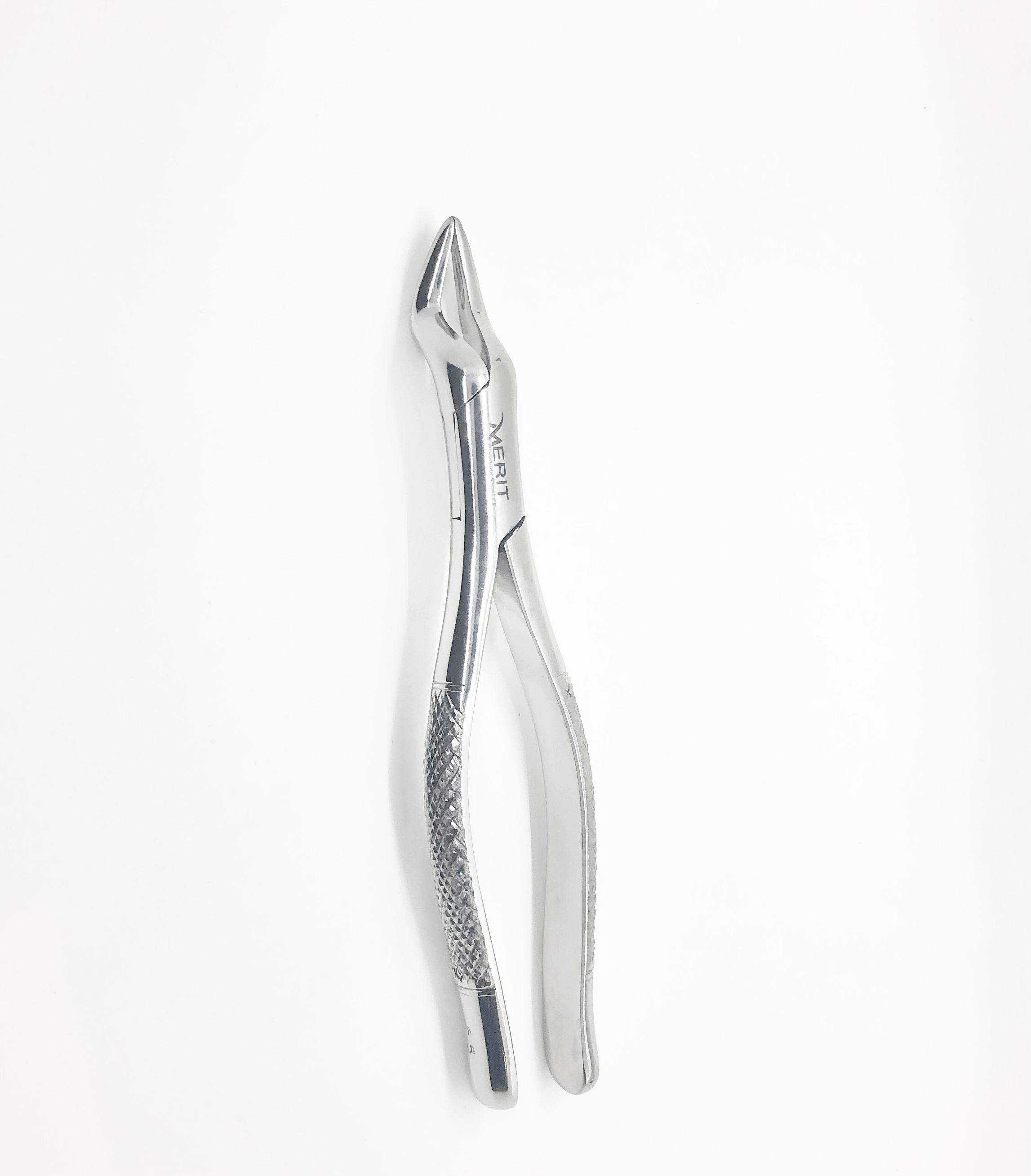 #65 Extracting Forceps American Pattern Mirror Polish Finish