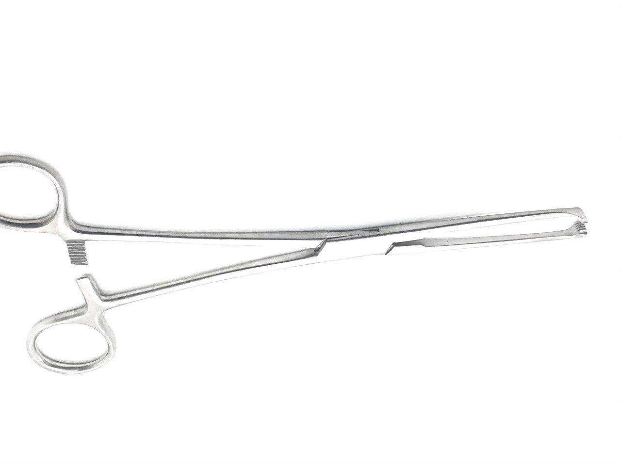 Allis Forceps