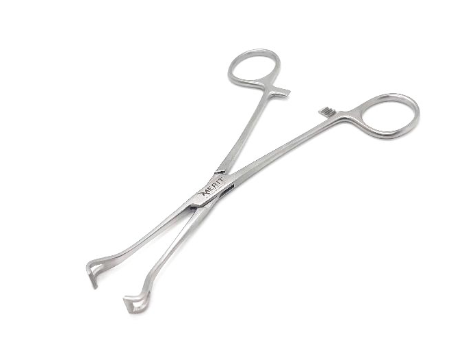 Babcock Forceps 6.5″