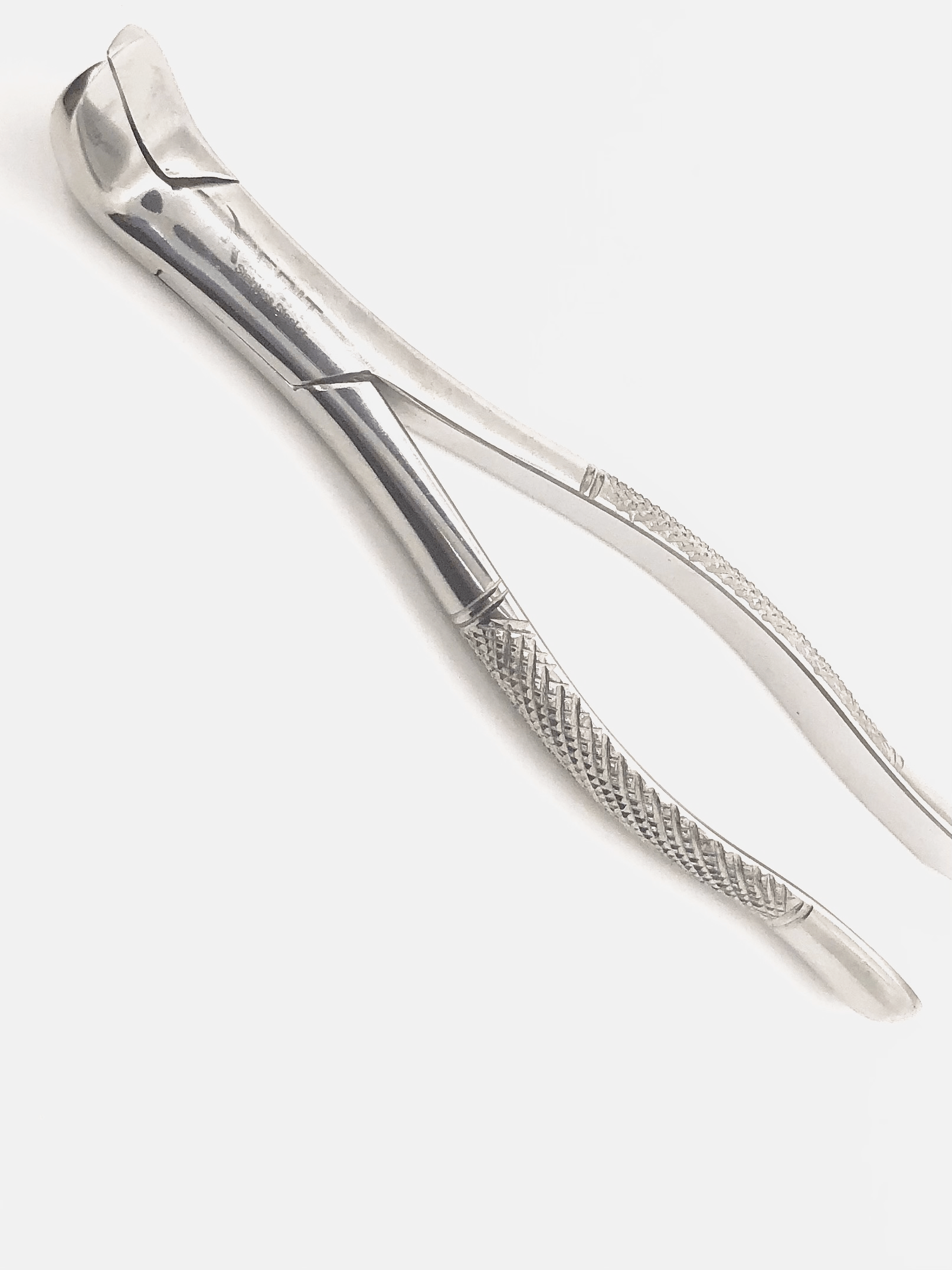 EXTRACTION FORCEPS AMERICAN #6 LOWER SPLIT MIRROR POLISH FINISH