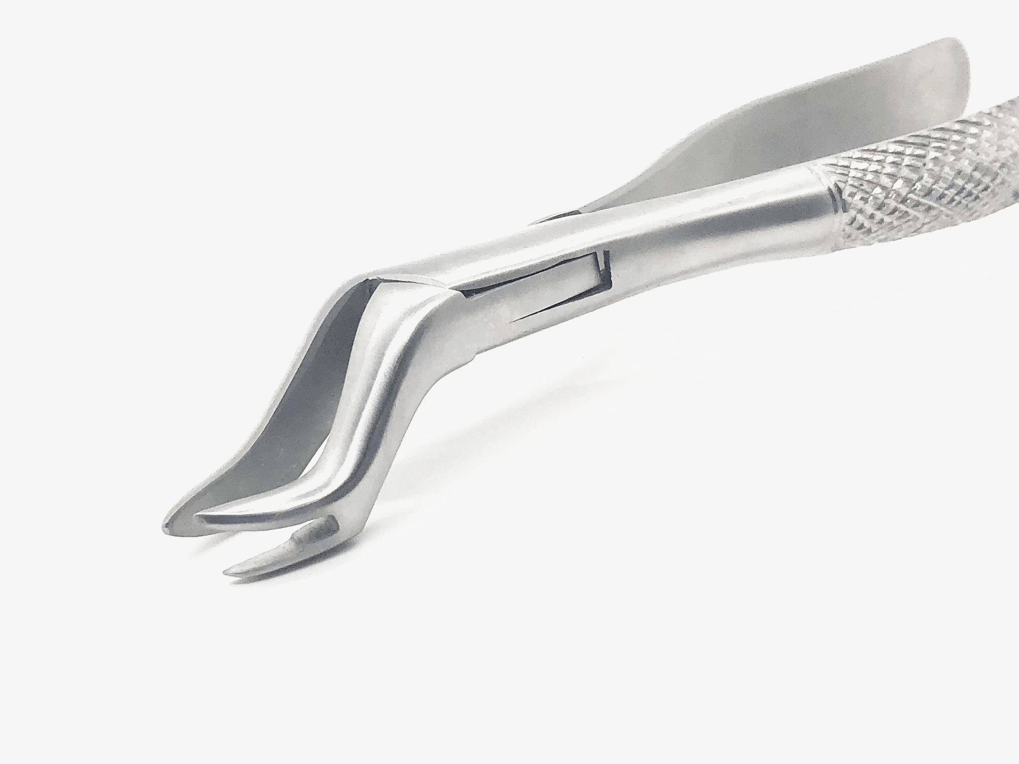 Extracting Forceps #88L Dull Matte Finish