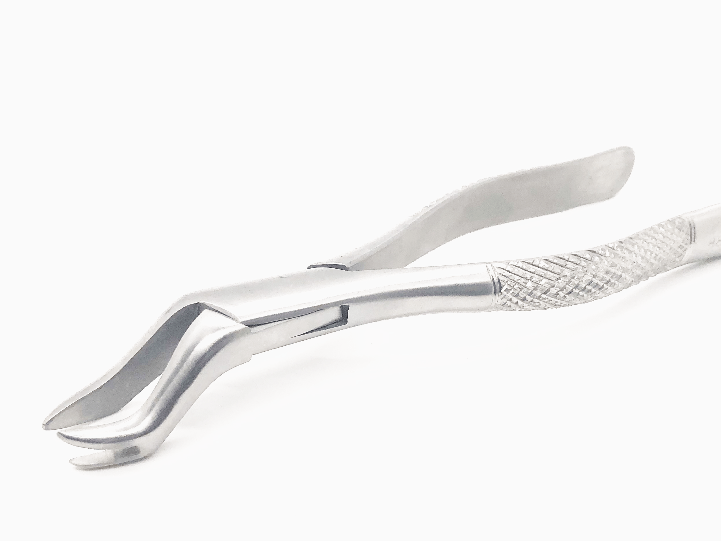 Extracting Forceps #88L Mirror Polish Finish
