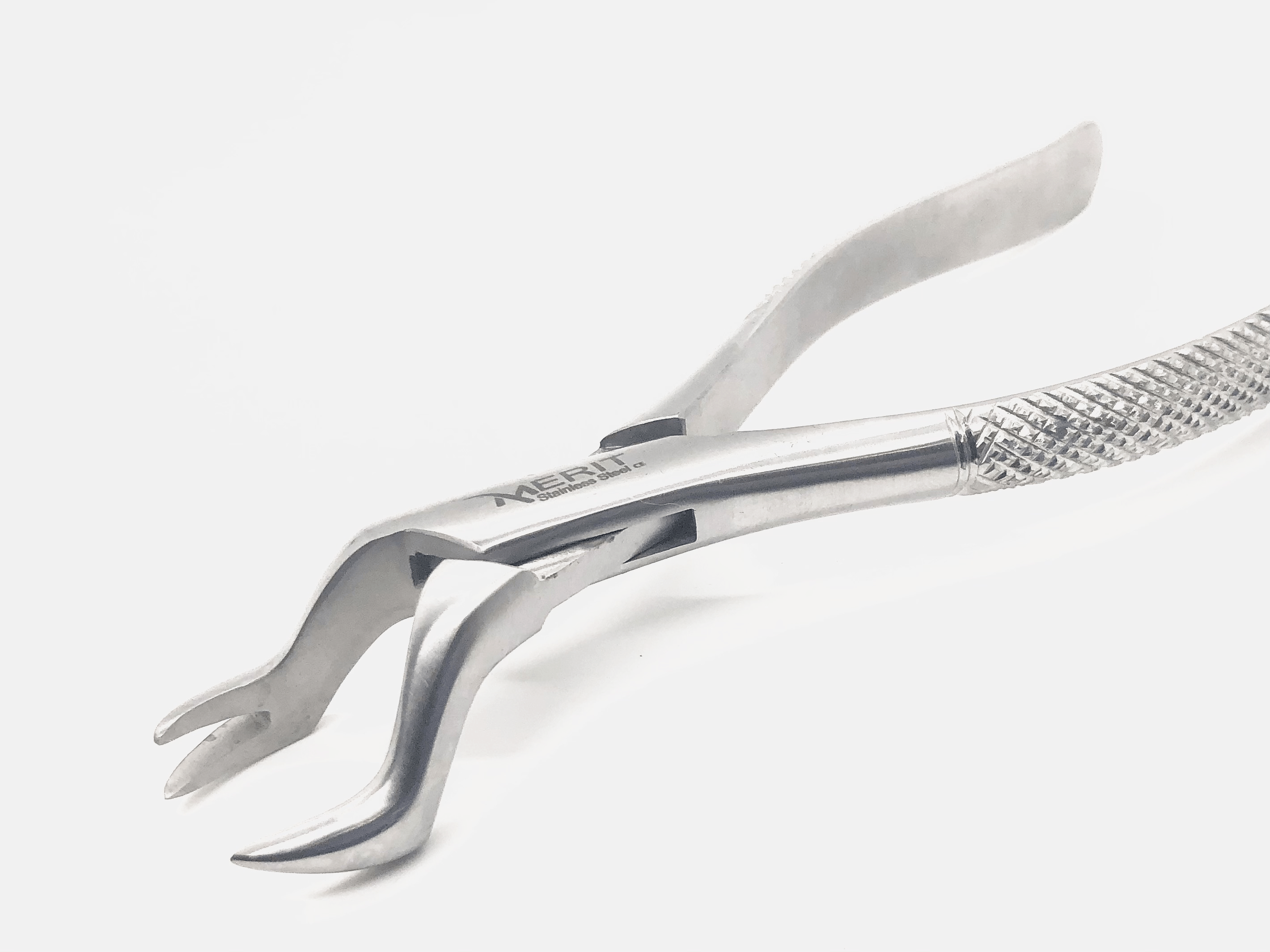 Extracting Forceps #88R Mirror Polish Finish
