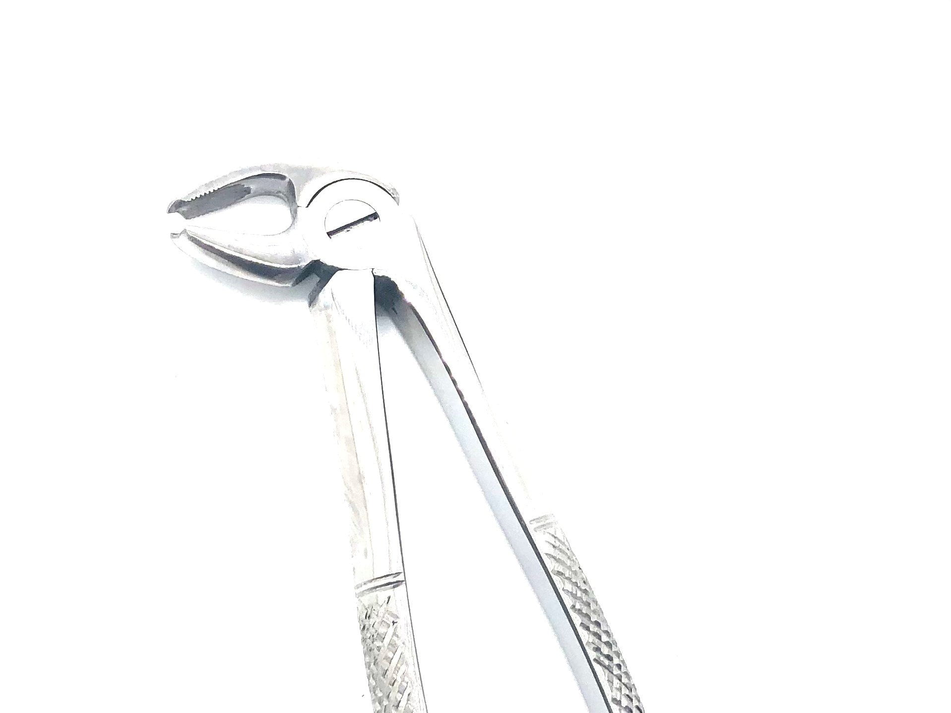 Extraction Forcep #22 English Pattern Mirror Finish