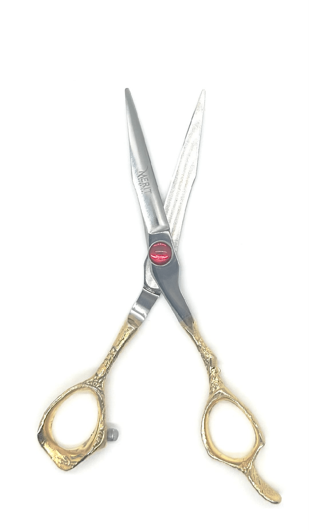 Hair Dressing Shears 6″