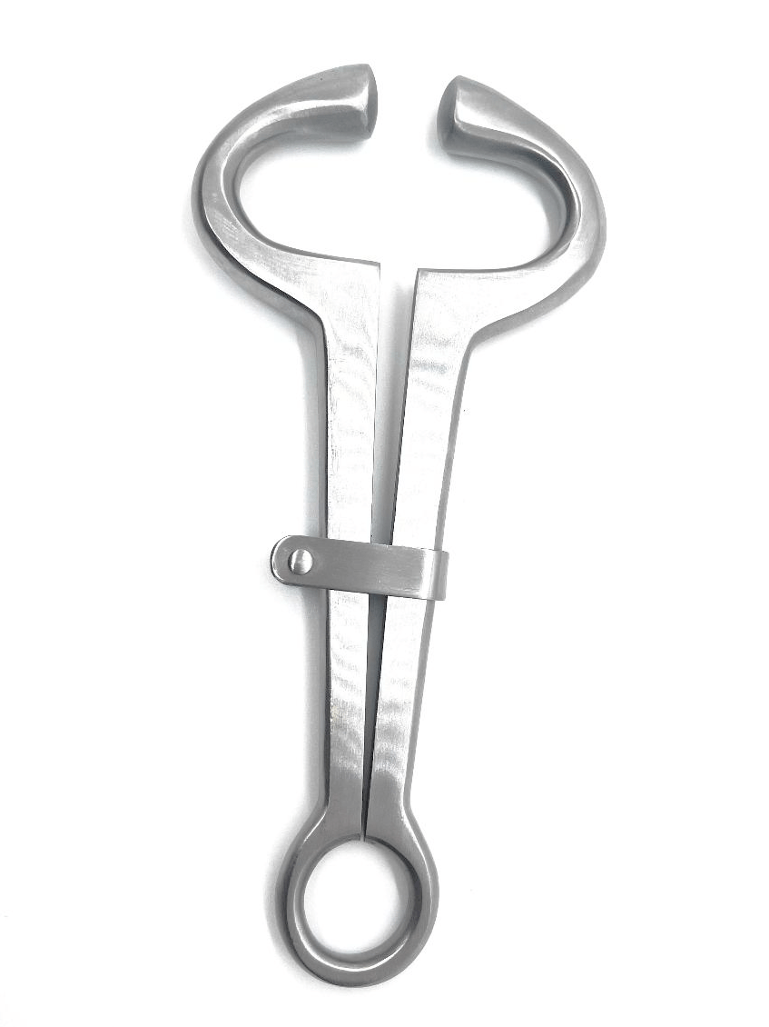 HARMS Bull Holder