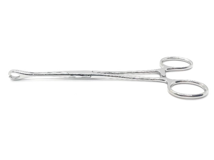 Sponge Forceps 17cm