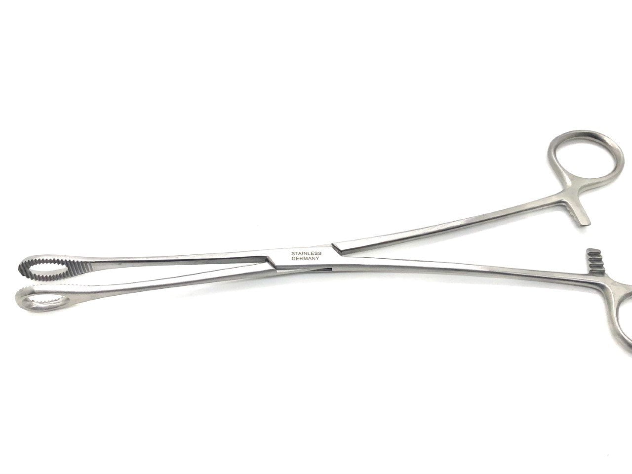 Sponge Forceps Straight
