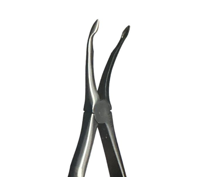 Upper Posterior Root Extraction Forcep