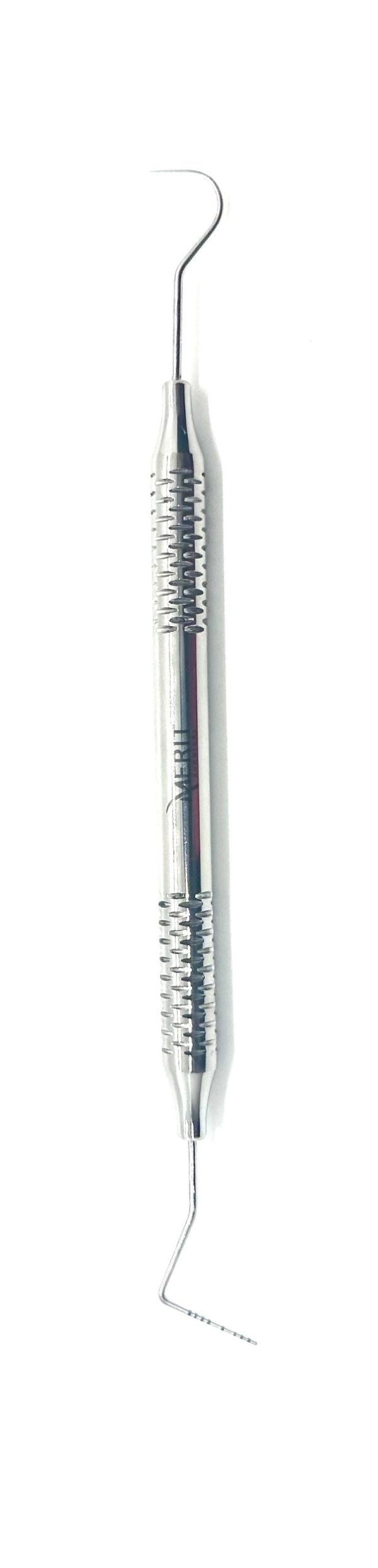 Explorer1Probe Williams