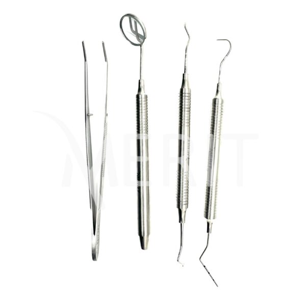 Dental-Exam-kit-set-of-4-Silver-2