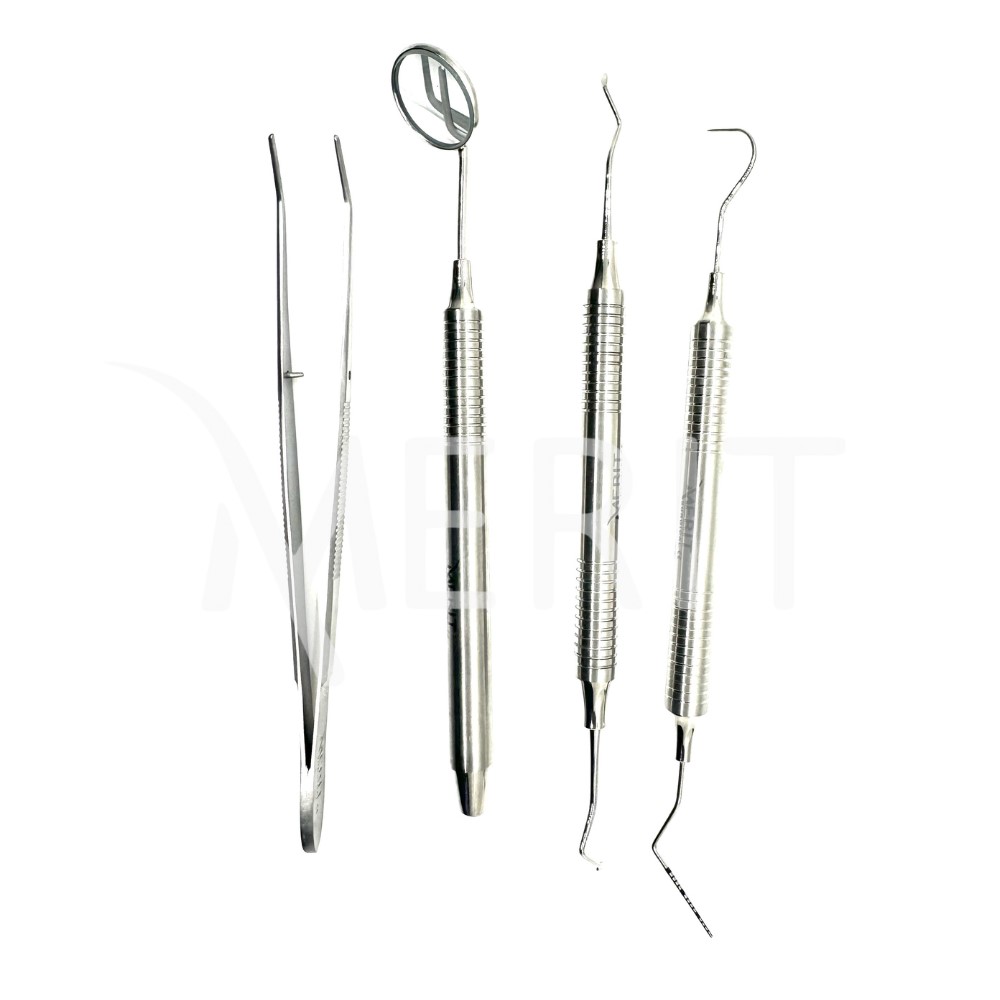 Dental-Exam-kit-set-of-4-Silver-2